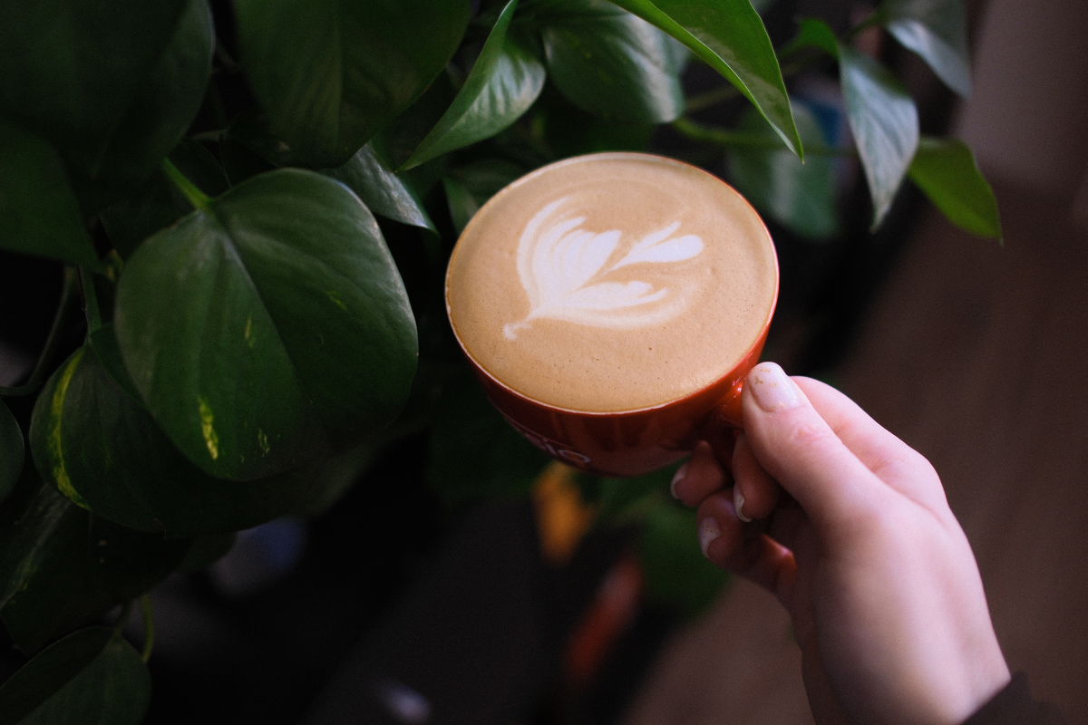 Latte Art a idylka a pohoda